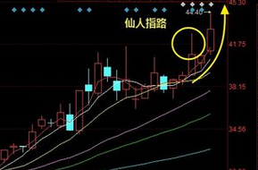 了解同花顺港股交易费用：佣金、印花税和其他费用解析